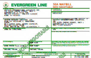 《海运进口提单》(样例)